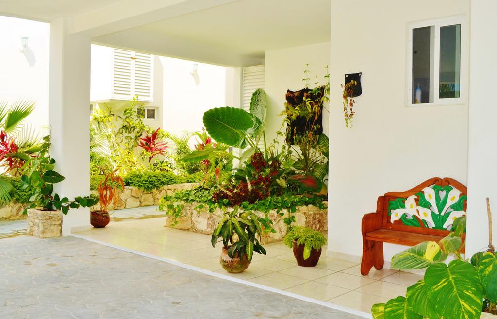 Corales Suites Puerto Morelos Εξωτερικό φωτογραφία