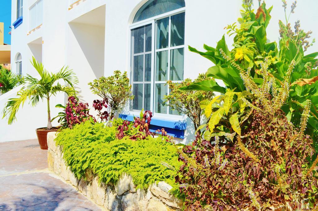 Corales Suites Puerto Morelos Εξωτερικό φωτογραφία